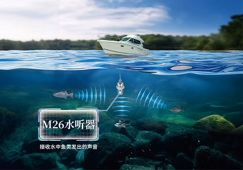 水聽器 水聽器